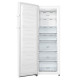 Hisense FV298N4AWC