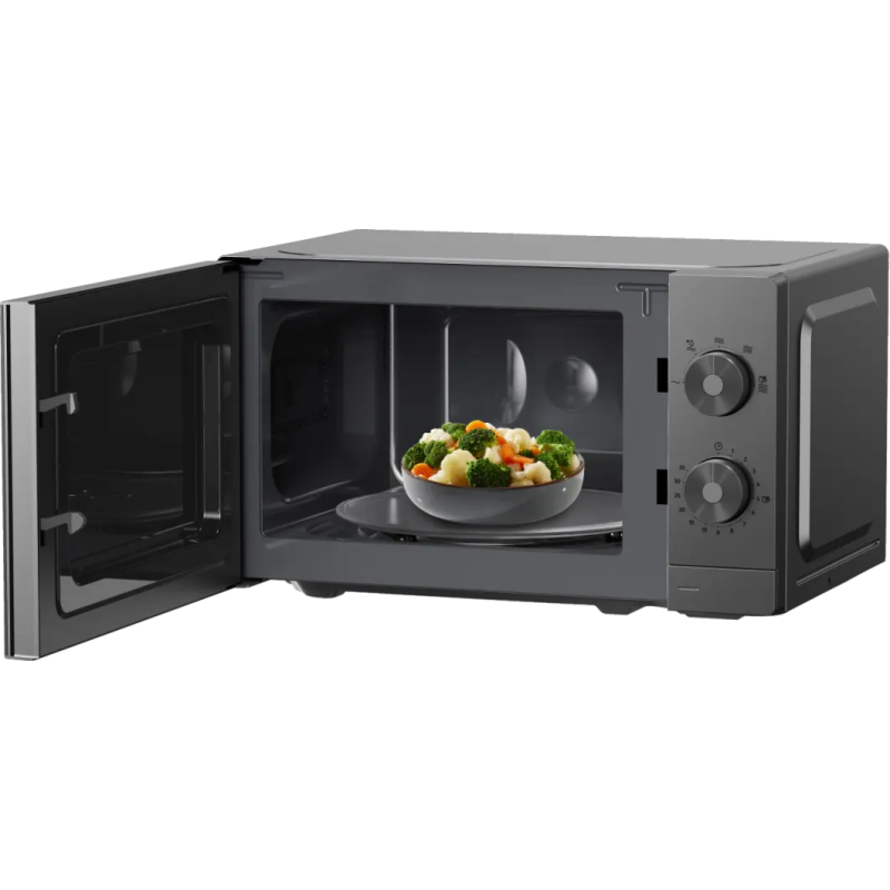 Gorenje MO20E1T4