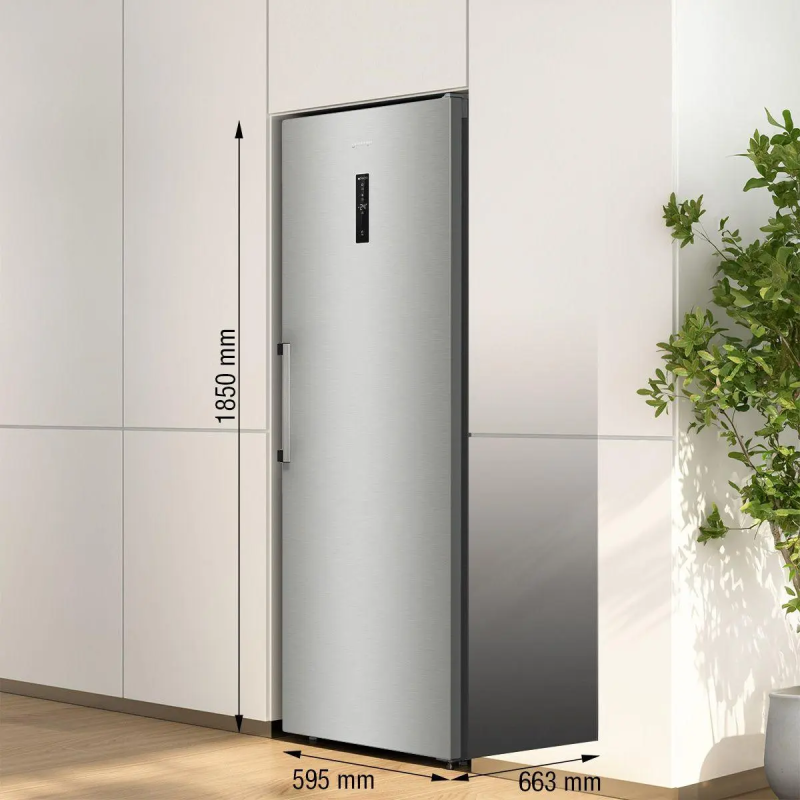 Gorenje FN619DAXL6