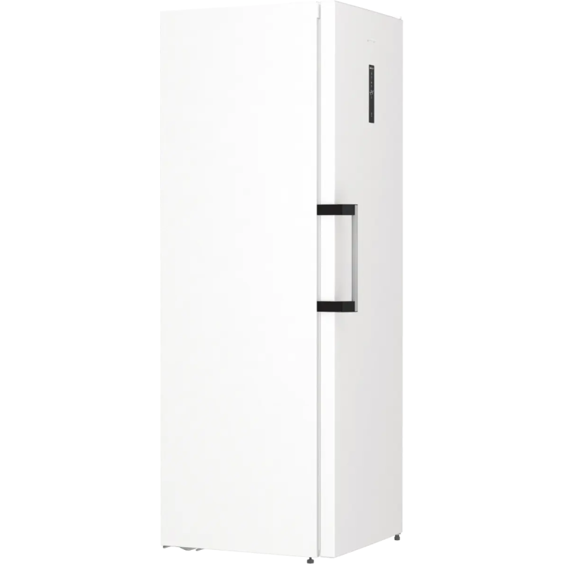 Gorenje FN619EAW6