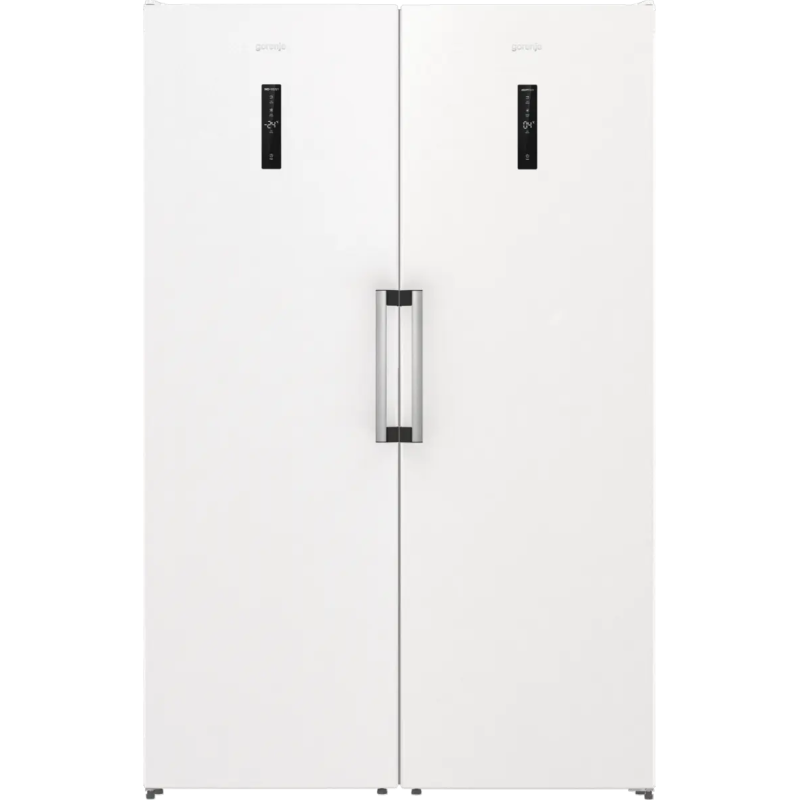 Gorenje FN619EAW6