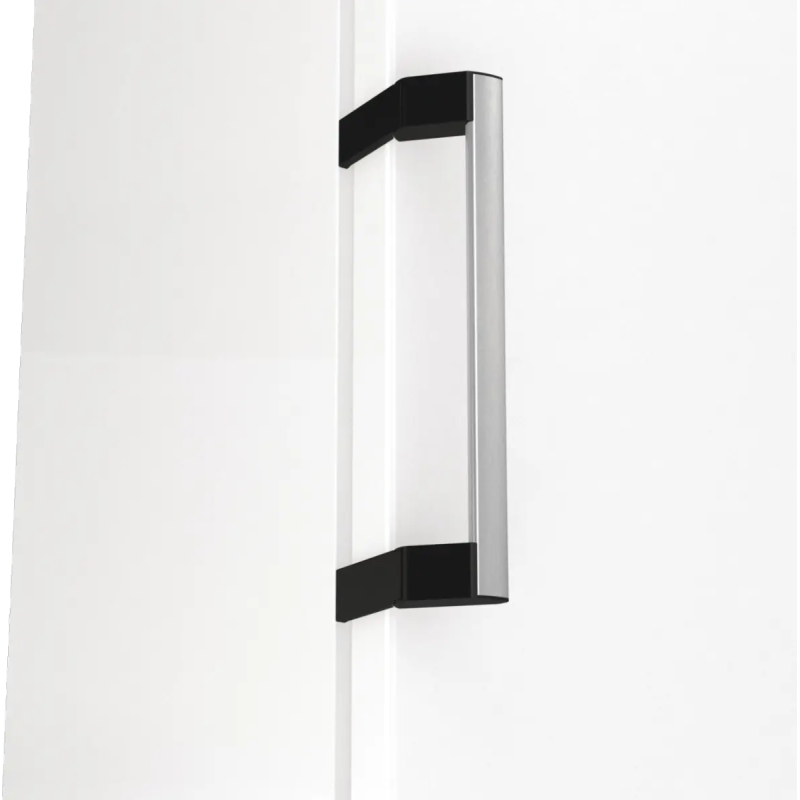Gorenje FN619EAW6