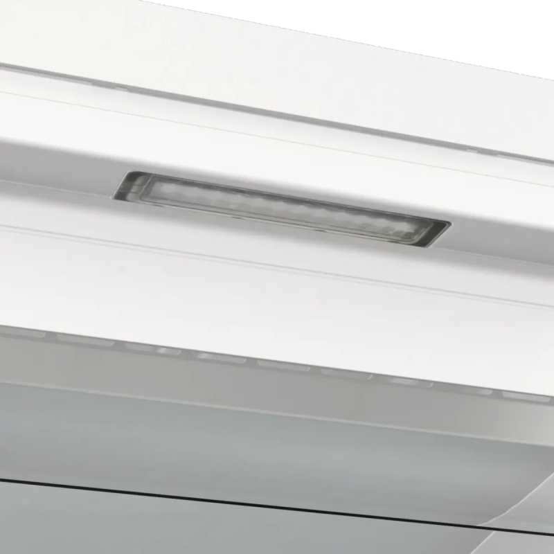 Gorenje FN619EAW6