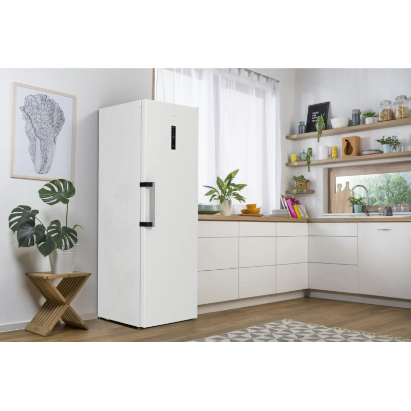 Gorenje FN619EAW6