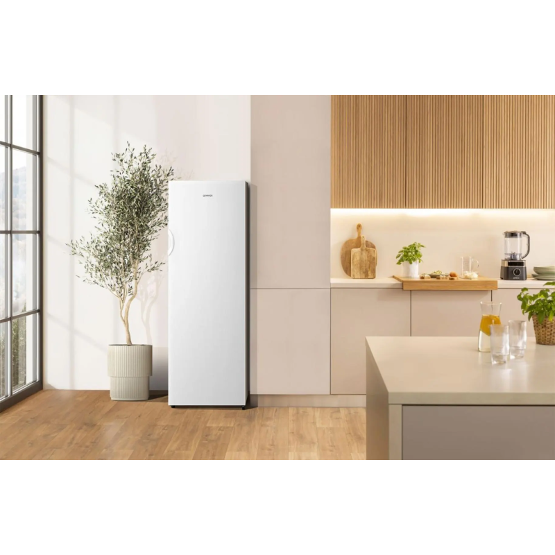 Gorenje FN417DCW