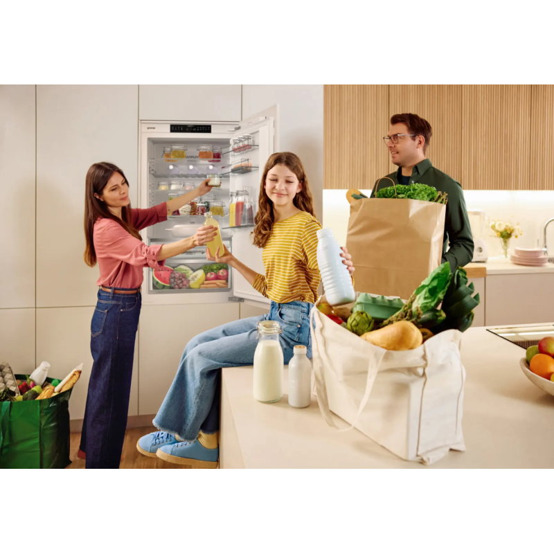 Gorenje NRKI619D61WFE