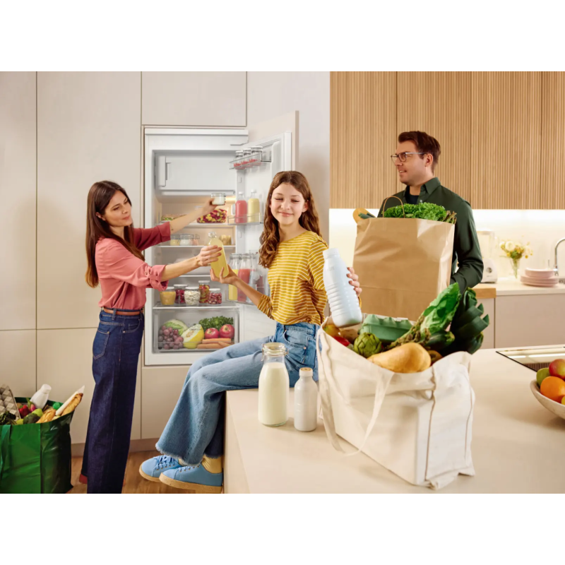 Gorenje RBI512E21