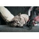 Hoover HF222AXL 011