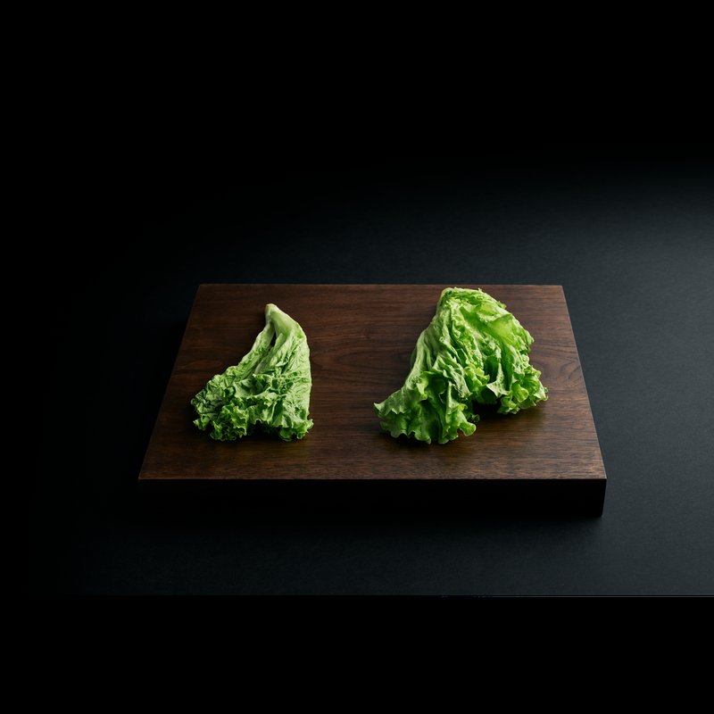 AEG NSC7P751DS Technológia TwinTech® No Frost udržiava potraviny šťavnaté a hydratované