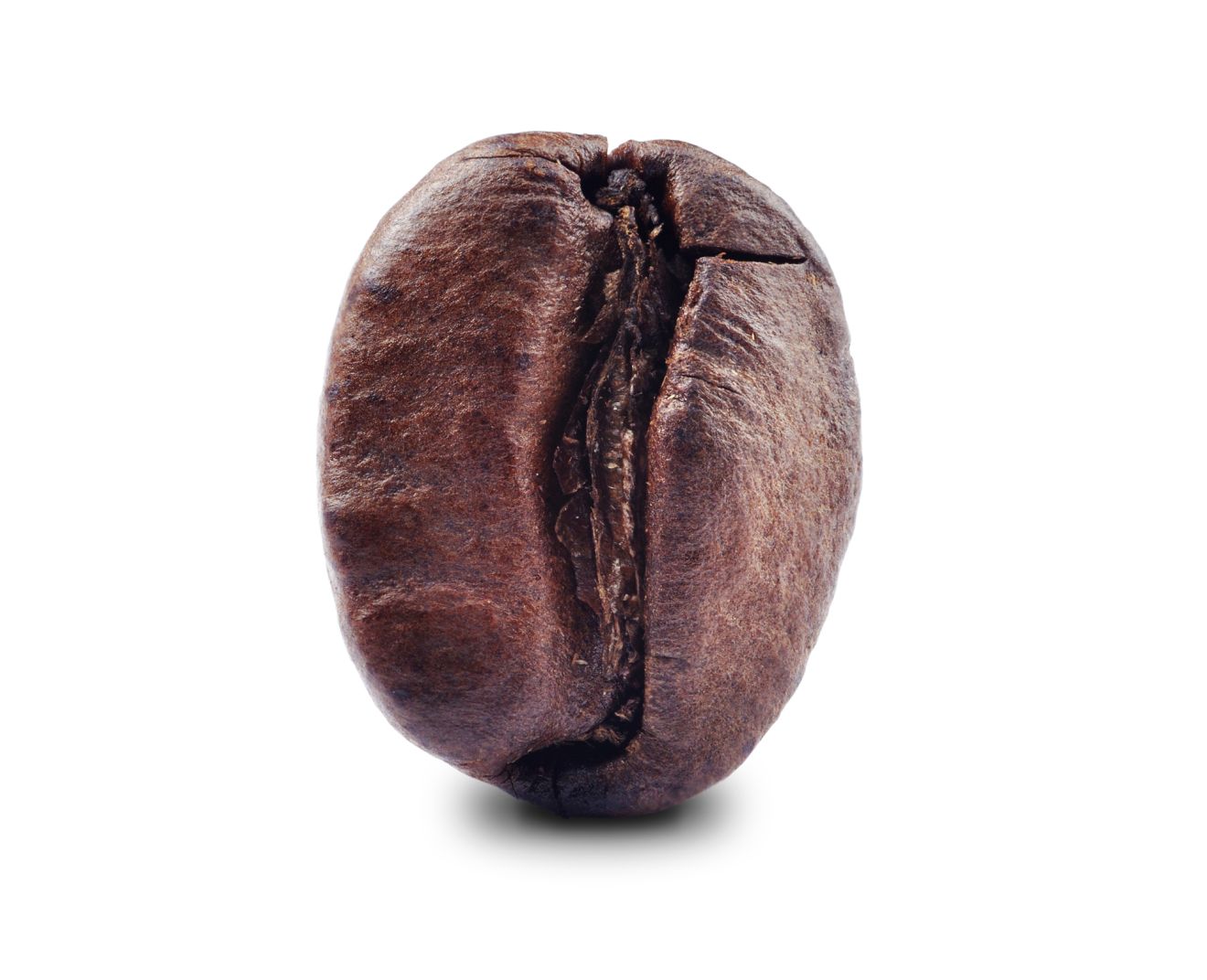 Obľúbená chuť a veľkosť kávy
