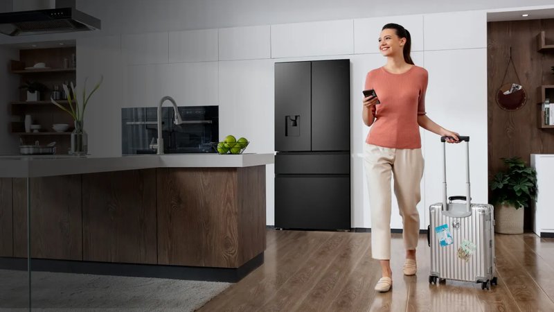 Hisense RF540N4SBF2 — Funkcia Holiday