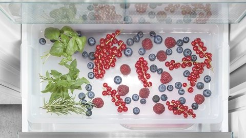 Liebherr ICBNCX 5173 — Zmrazovací podnos