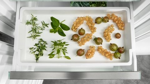 Liebherr XRFST 5295 — Zmrazovací podnos