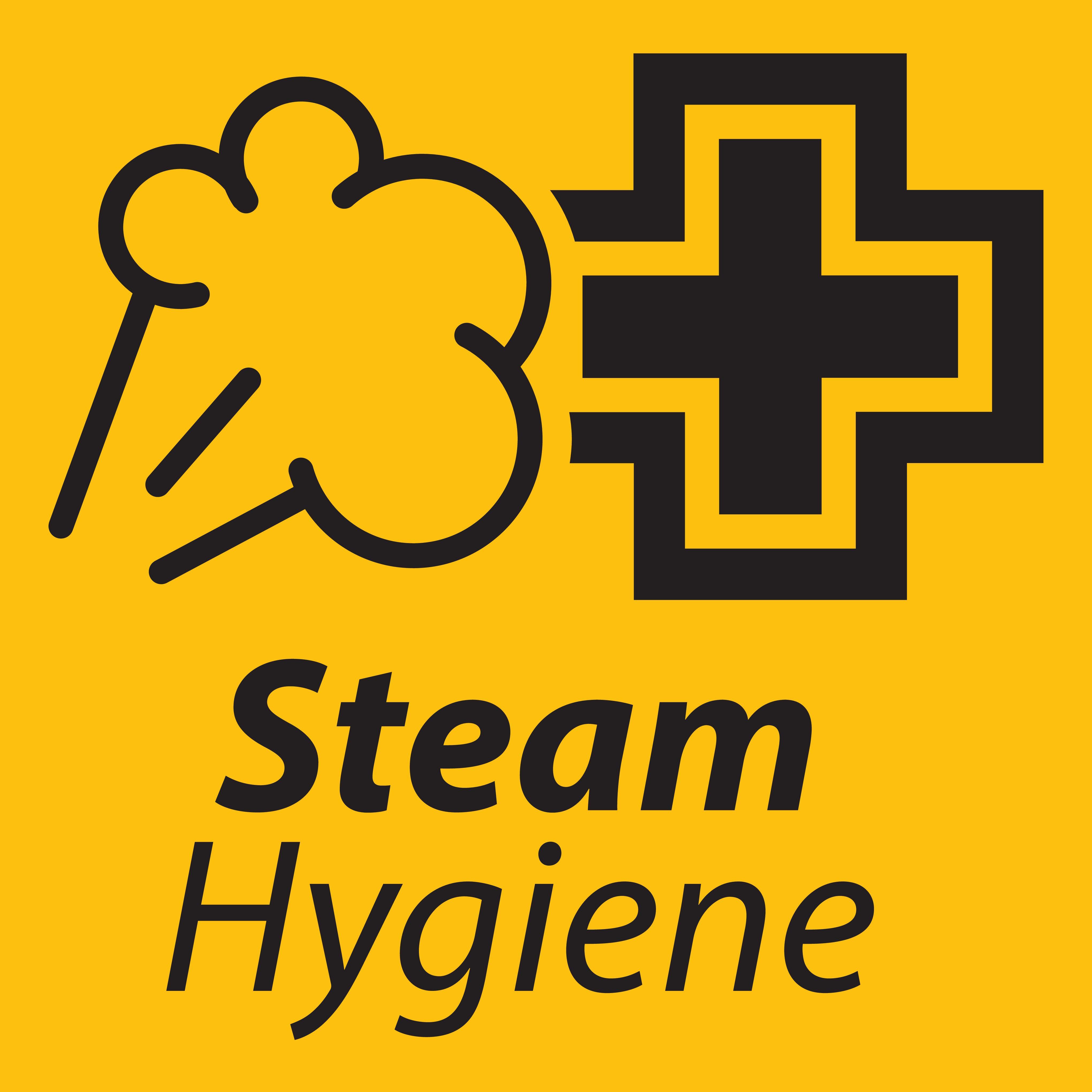 Parná hygiena