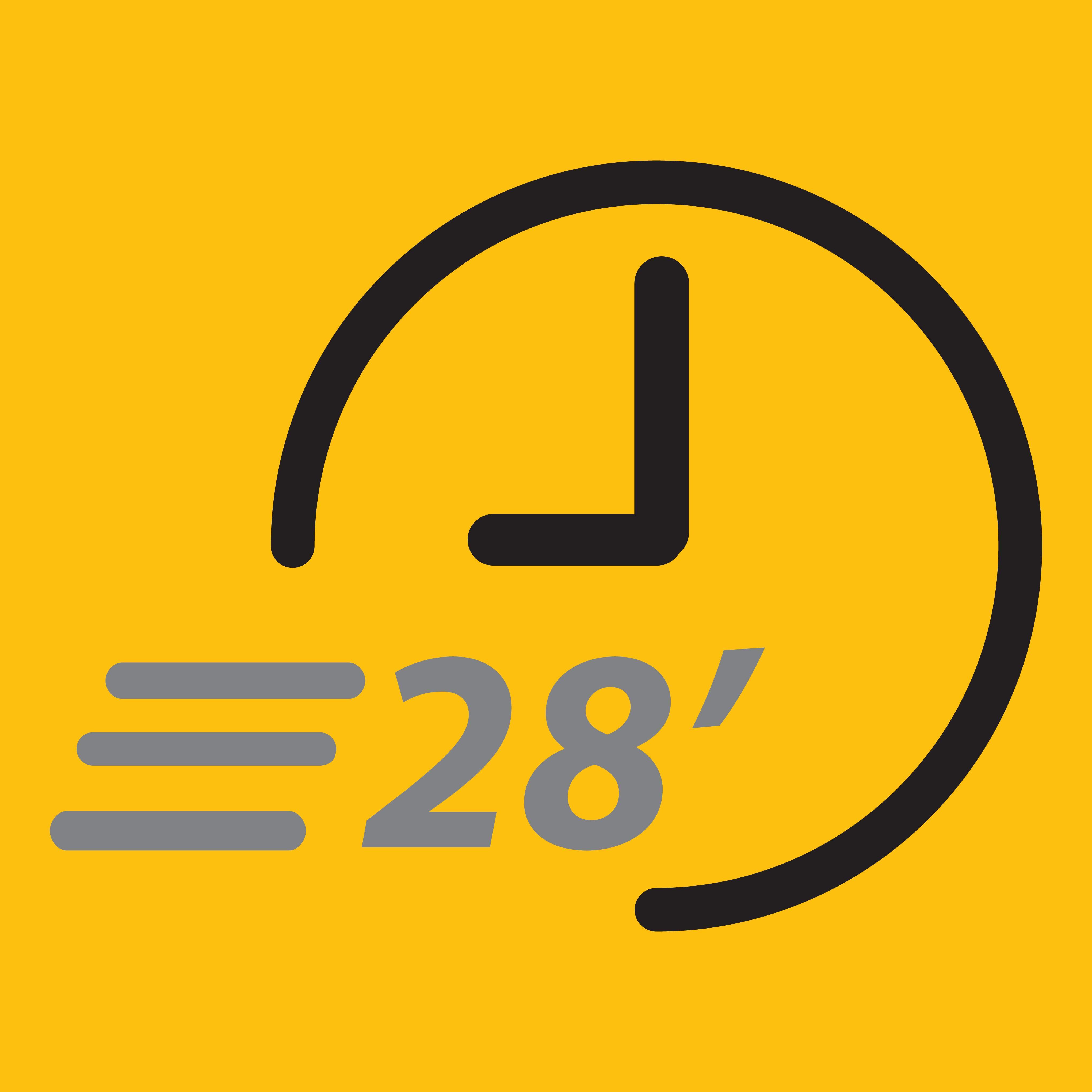 Rapid 28'